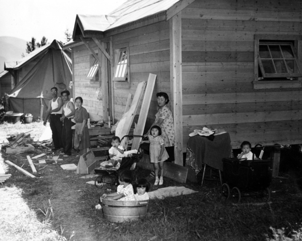 "Japanese “evacuees” find themselves in new settlement - Slocan area; New Denver, BC" 1942, Nikkei National Museum Archives,  1994.69.4.16